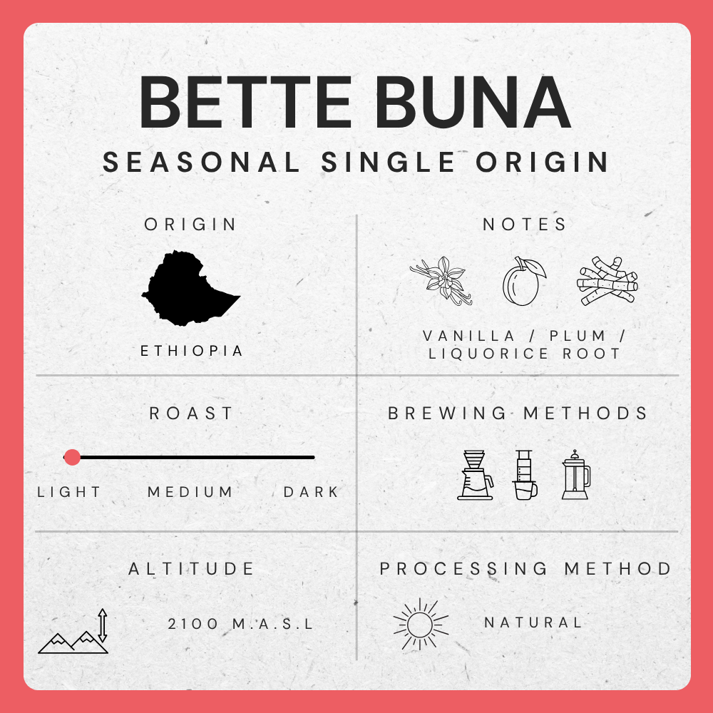 Bette Buna, Ethiopia, Guji - Single Farm