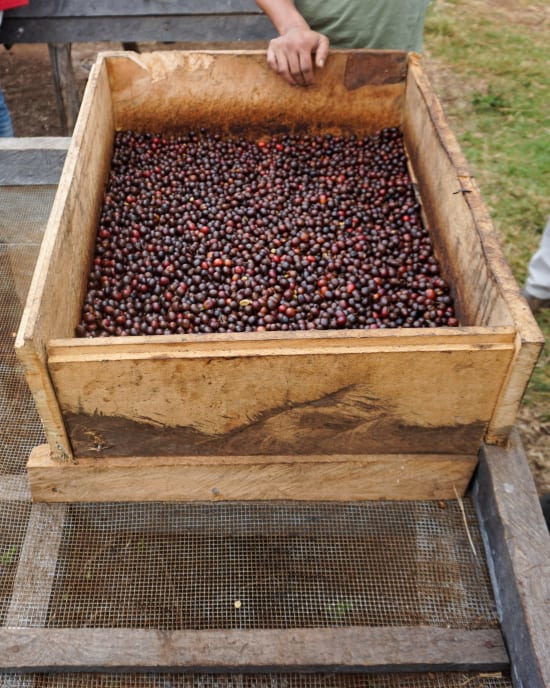 Unico Tanzania - Mshewe