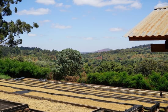Unico Tanzania - Mshewe