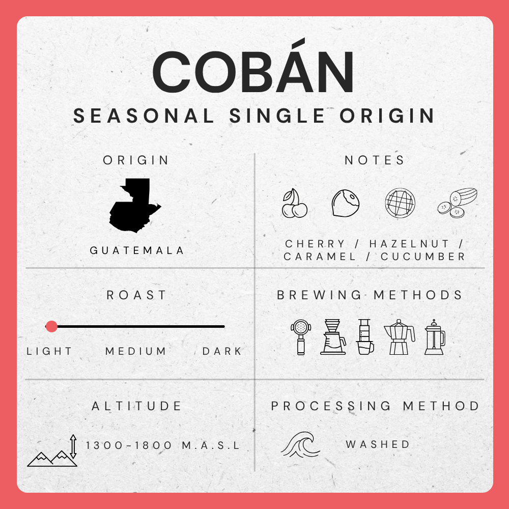 Cobán, Guatemala - Washed