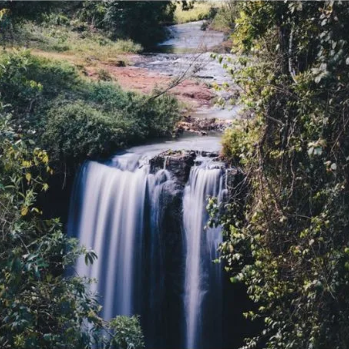 Gelcha Kindu, Ethiopia - Anaerobic Black Honey Process