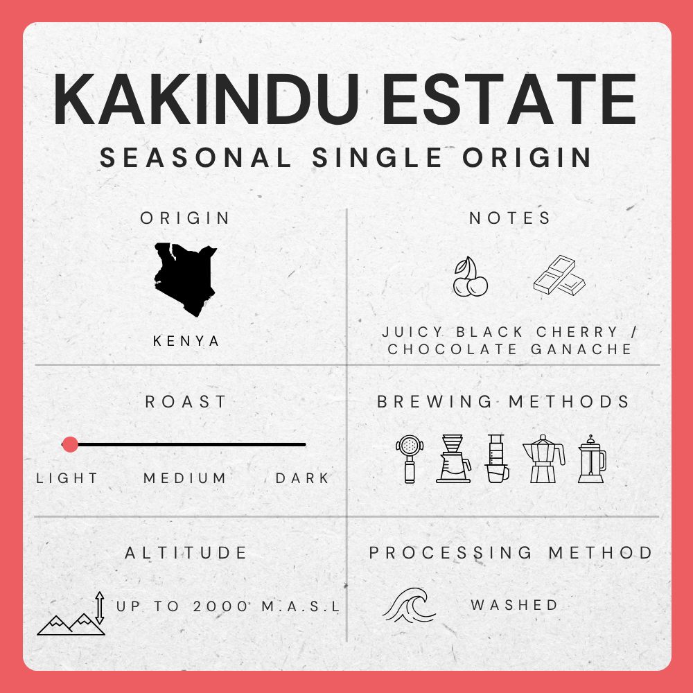 Kakindu Estate, Kenya - Single Estate Peaberry