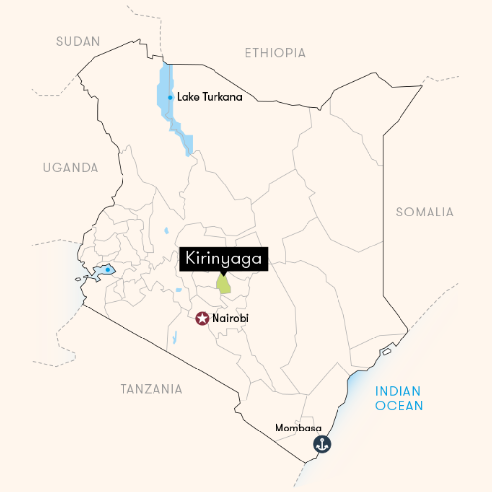Kamwangi, Kenya - Fully Washed AB Lot