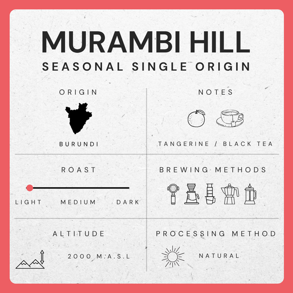 Murambi Hill, Burundi - Red Bourbon