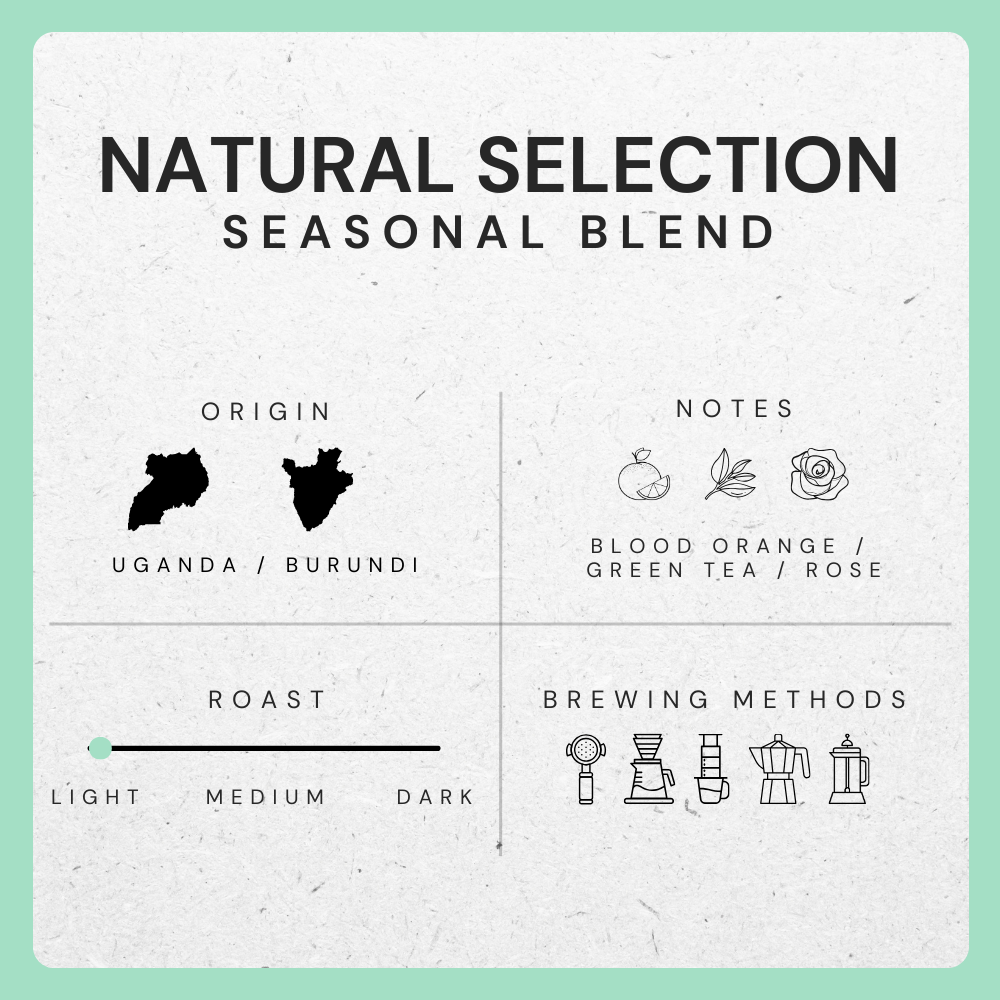 Seasonal Blend: Natural Selection