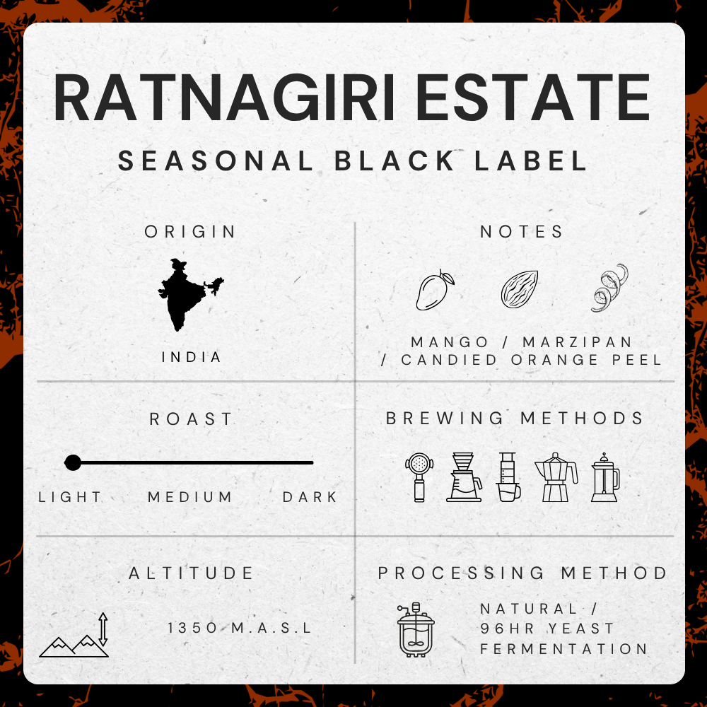Ratnagiri Estate, India - 96 Hour Yeast Fermentation