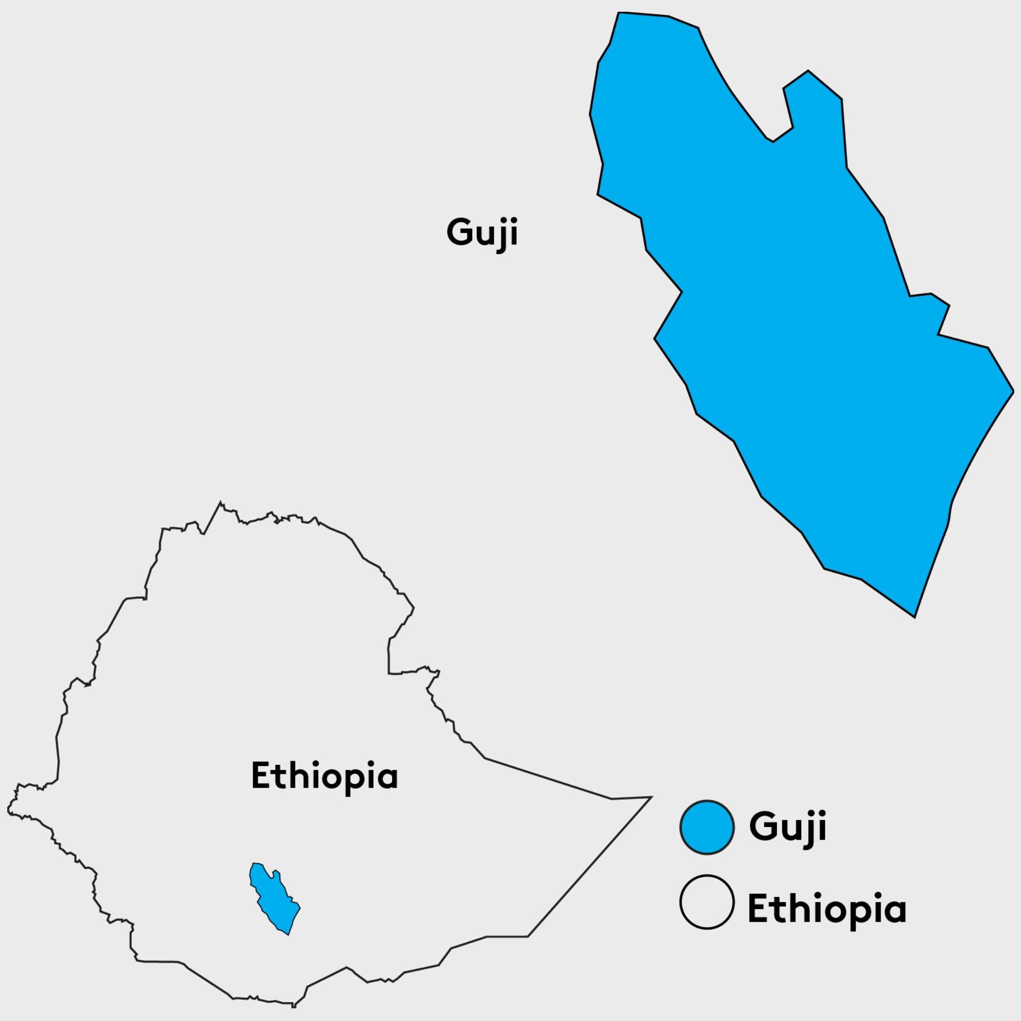 Bette Buna, Ethiopia, Guji - Single Farm