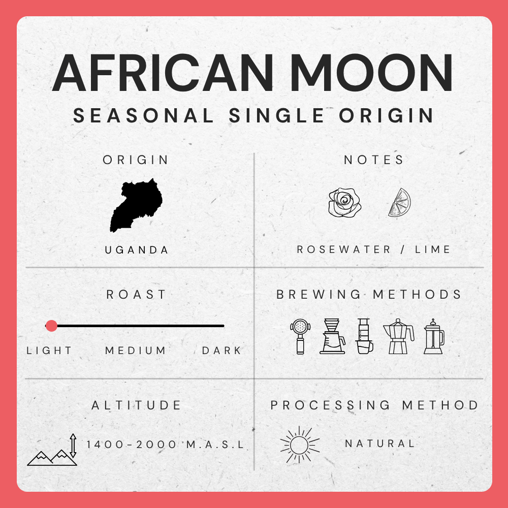 African Moon, Uganda - Single Origin