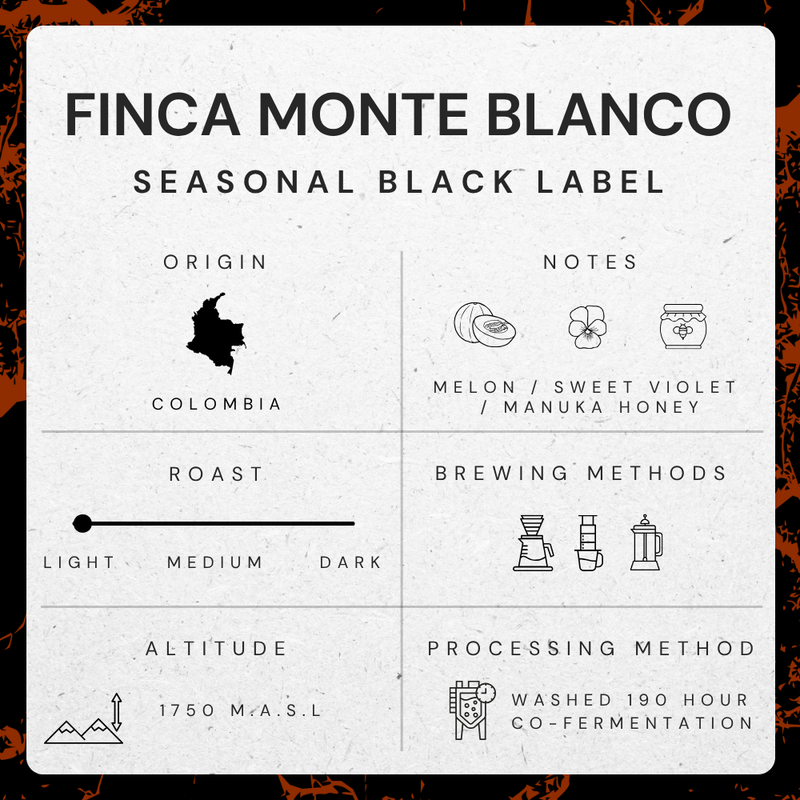 A square informational graphic for Finca Monte Blanco Seasonal Black Label coffee, with a white textured center panel and black decorative border. The panel shows origin Colombia, roast range with a slider, brewing methods with icons, altitude 1750 M.A.S.L