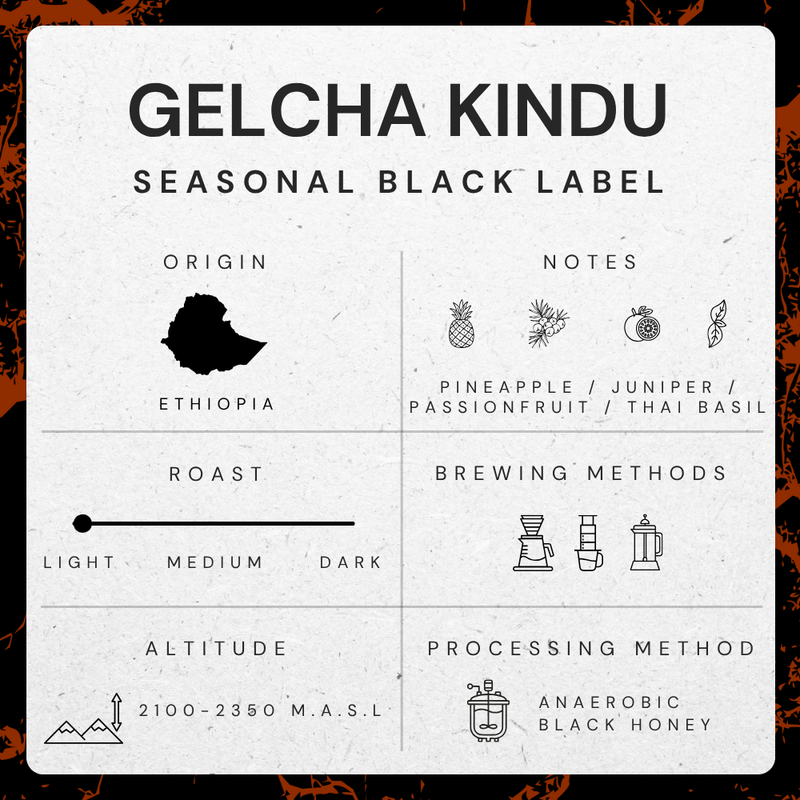Gelcha Kindu, Ethiopia - Anaerobic Black Honey Process