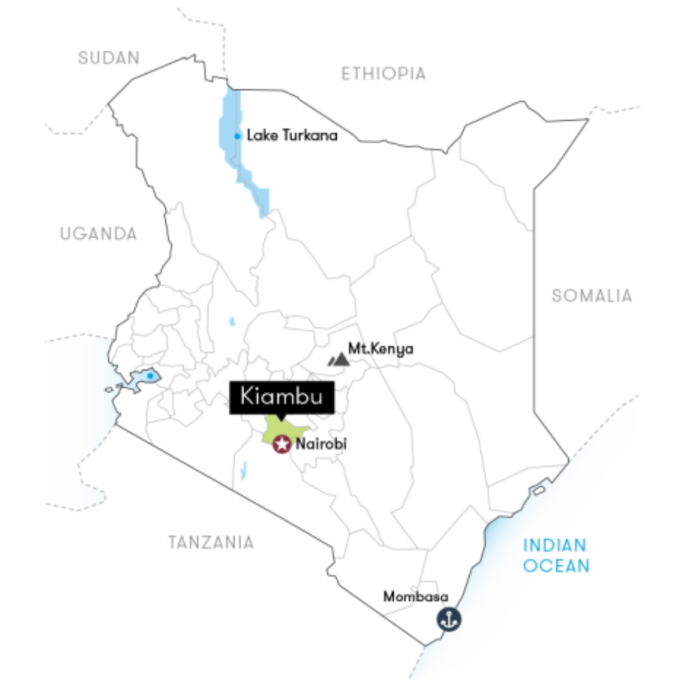 Kakindu Estate, Kenya - Single Estate Peaberry
