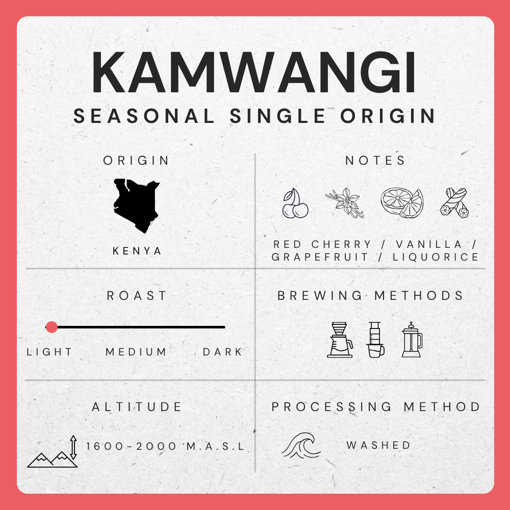 Kamwangi, Kenya - Fully Washed AB Lot