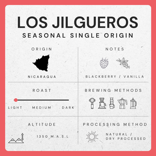 Los Jilgueros, Nicaragua - Single-Plot Microlot
