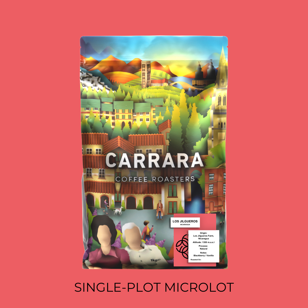 Los Jilgueros, Nicaragua - Single-Plot Microlot