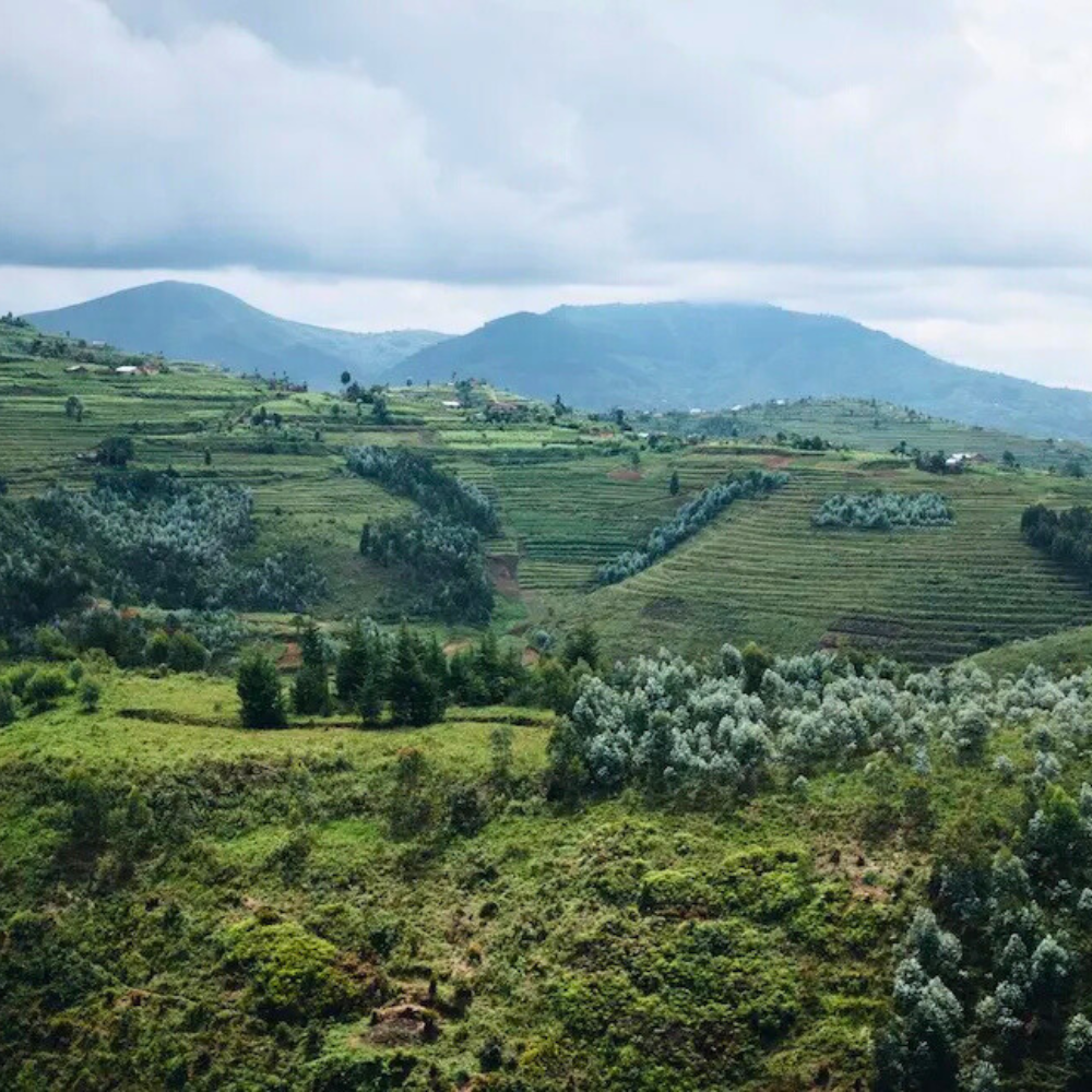 Choc Ho-Ho Orange - Limited Edition Christmas Coffee