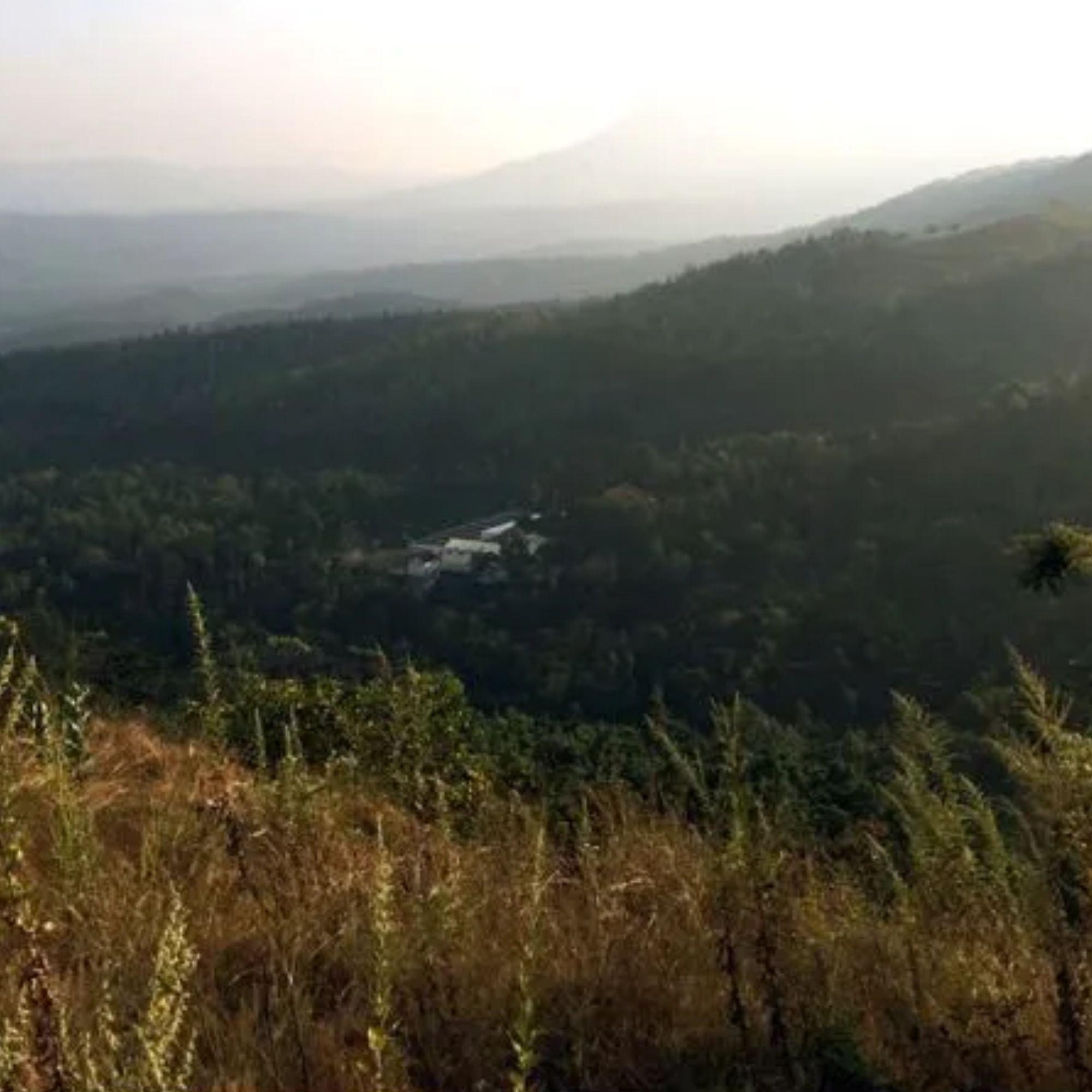 India, Pearl Mountain - Carbonic Maceration