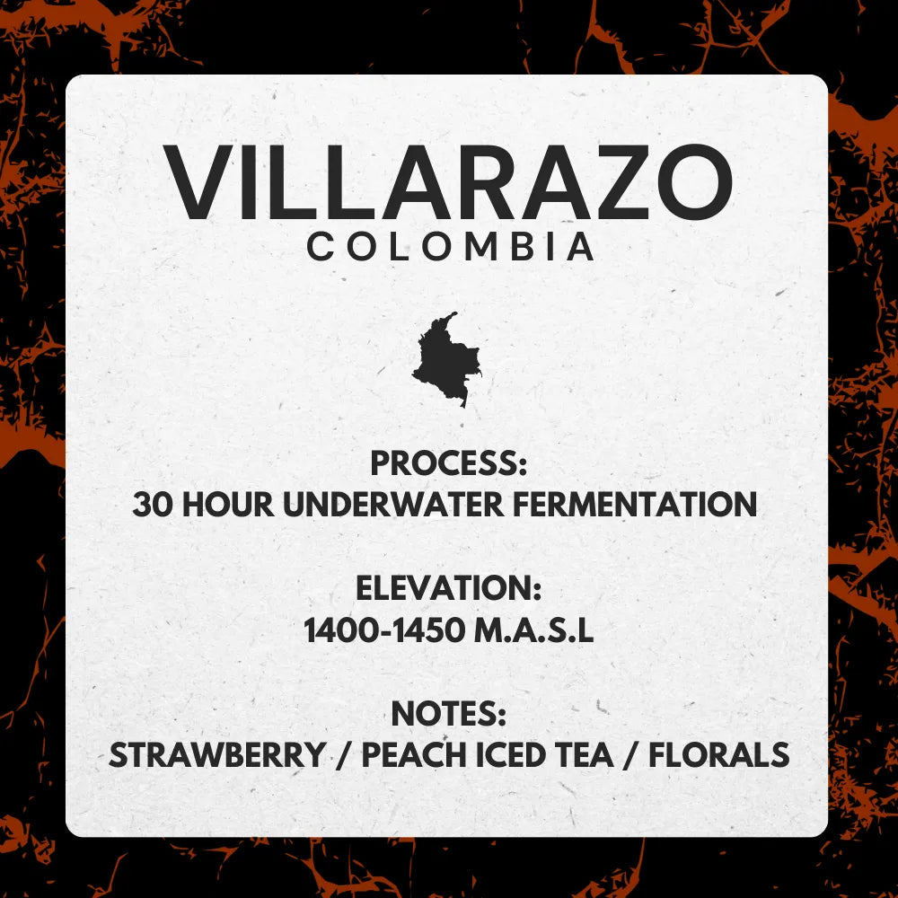Villarazo, Colombia - Washed Papayo