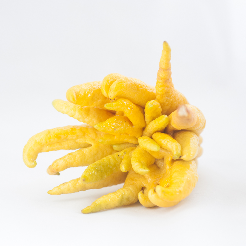 No Stone Estate, China - Bergamot Enzyme Honey